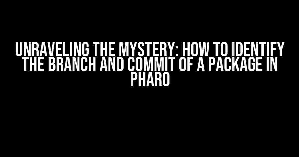 Unraveling the Mystery: How to Identify the Branch and Commit of a Package in Pharo